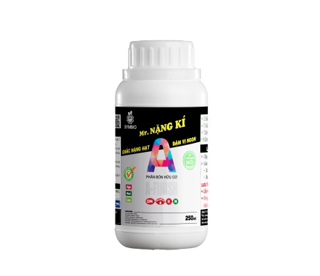 Mr. Nặng Kí