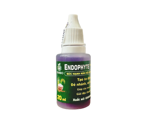 Endophyte RICE