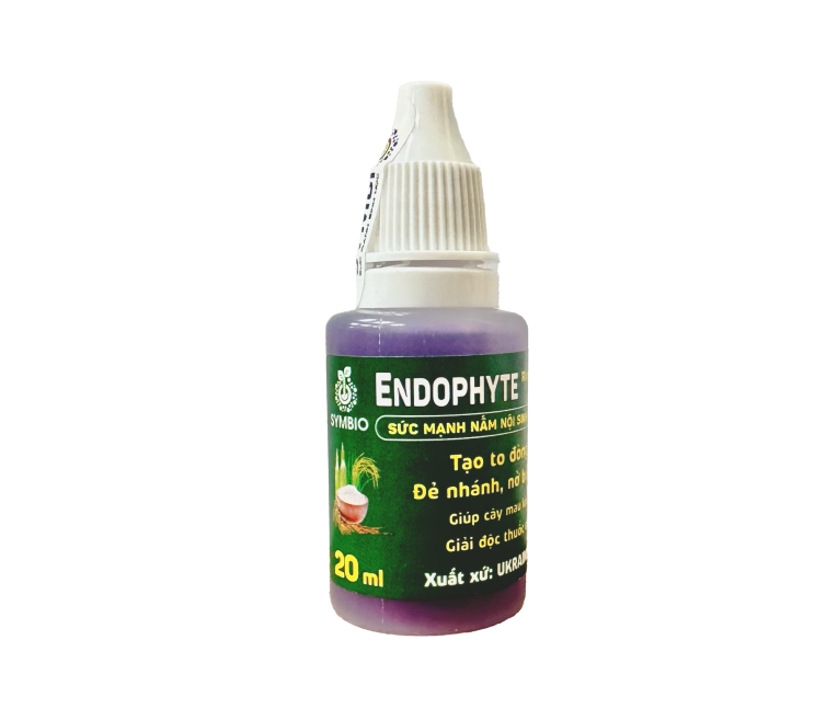 Endophyte_Rice_1