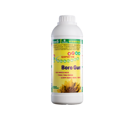 BORO GUM