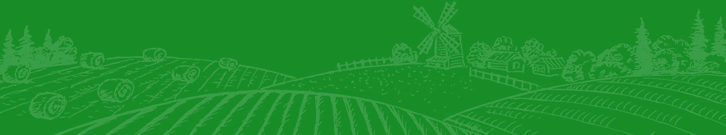 main_bg