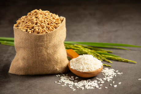 a sack of rice seed with white rice on small wooden spoon and rice plant